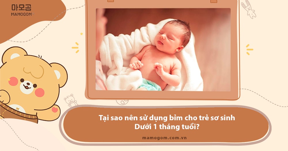 Bỉm cho trẻ sơ sinh dưới 1 tháng tuổi